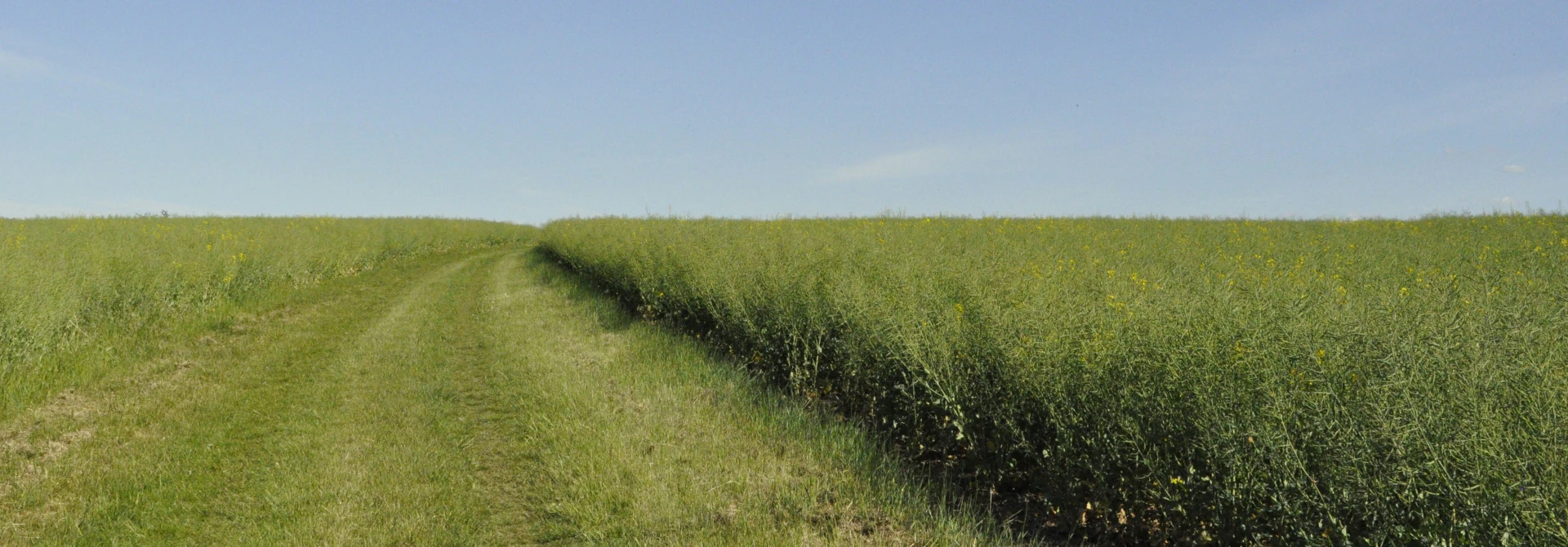 Ostsee-Radweg