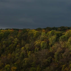 Naumburger Wald am Ilmtalradweg